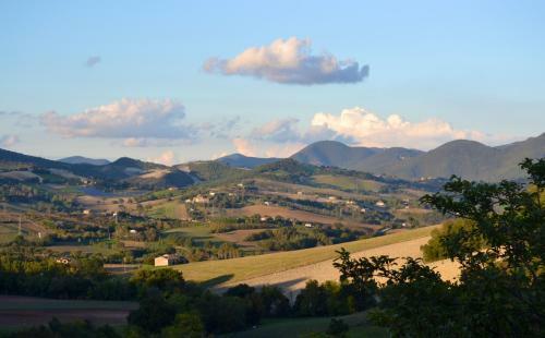 Bed And Breakfast La Cerasa