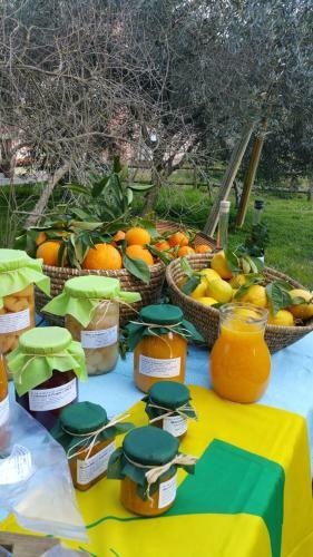 Agroturismo Agriturismo Archelao