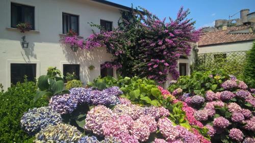 Il Casale Di Riardo B&B