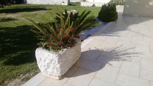 Agli Antichi Trulli B&B In Masseria