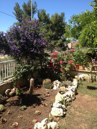 B&B Solacium