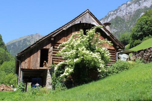 Hotel Urirotstock