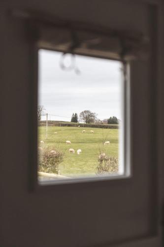 Shepherd's View-qu7569