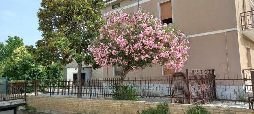 Apartamento La Magnolia