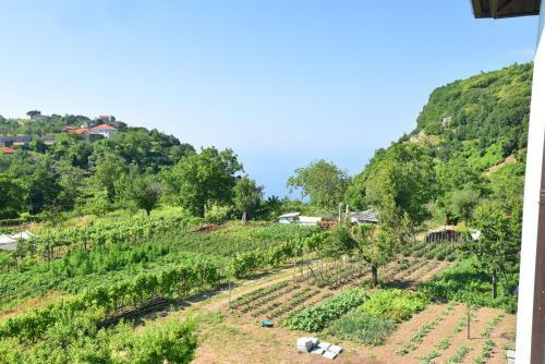 Apartamento La Terrazza Sugli Dei