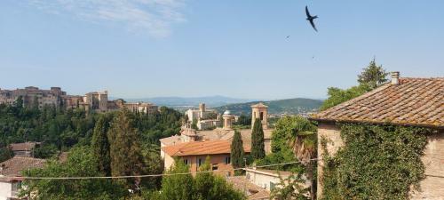 Apartamento La Tana Di Margherita