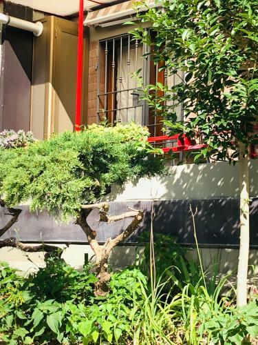 Apartamento Maison Area 21