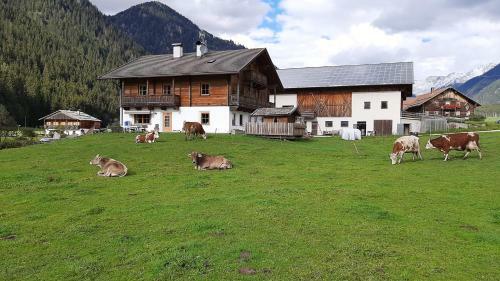 Apartamento Althuberhof