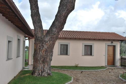 Agroturismo Agriturismo Torre Cristina