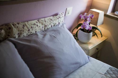 B&B Campodisole