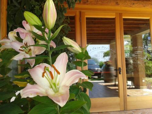 Agroturismo La Casa Vecchia