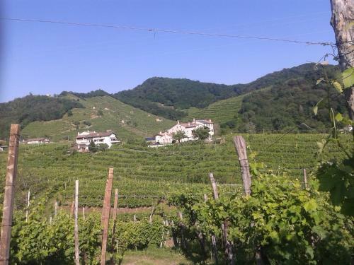 Agroturismo La Casa Vecchia