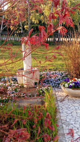 Agroturismo Agriturismo Il Magicorto