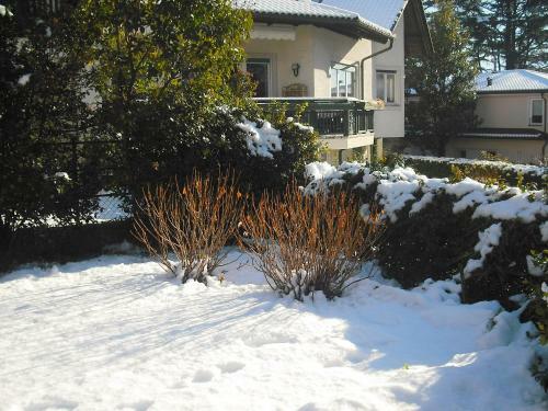 Apartment Esperia Merano