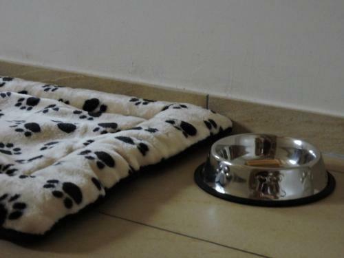 Bed & Breakfast Swiss Seasons