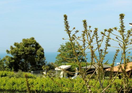 B&B Colle Sul Mare