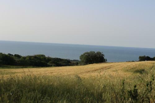 B&B Colle Sul Mare