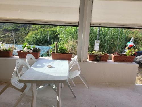 Hostal Milordina