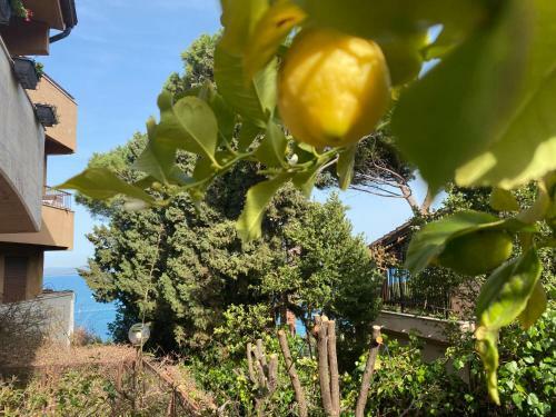 Apartamento Argentario? Tutto Da Scoprire