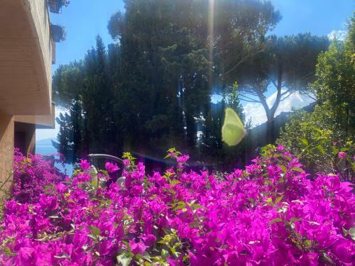Apartamento Argentario? Tutto Da Scoprire