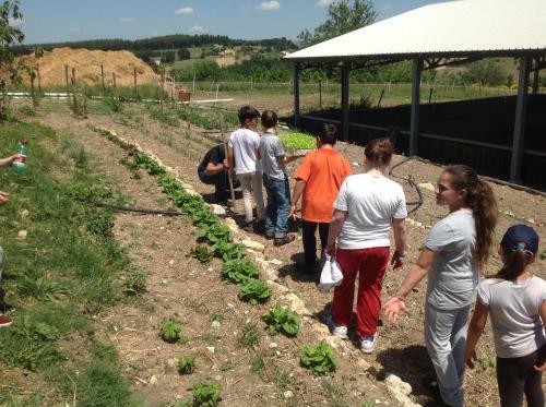 Agroturismo Tenuta Colle San Pietro
