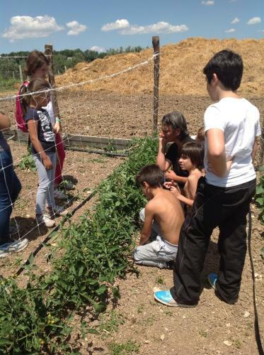 Agroturismo Tenuta Colle San Pietro