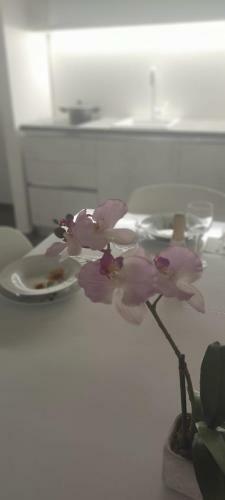 Apartamento Virietta Dreams & Relax