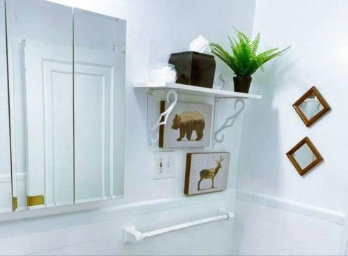 Apartamento (53.1s) Forest Park, The Zoo, And Much More