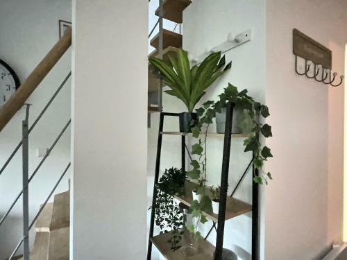 Apartamento L'harmonieux Fontenay Sous Bois