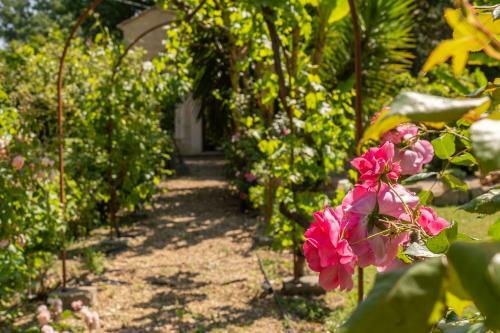 Villa Mas Des Font�tes