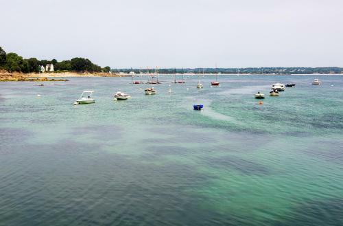Sejour Pour 8 Sur La Riviera Bretonne