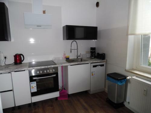 Apartamento G�stewohnung Mit K�che Magdeburg An Der Elbe