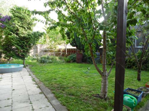 Apartamento G�stewohnung Mit K�che Magdeburg An Der Elbe