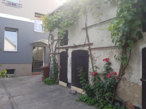 Apartamento G�stewohnung Mit K�che Magdeburg An Der Elbe