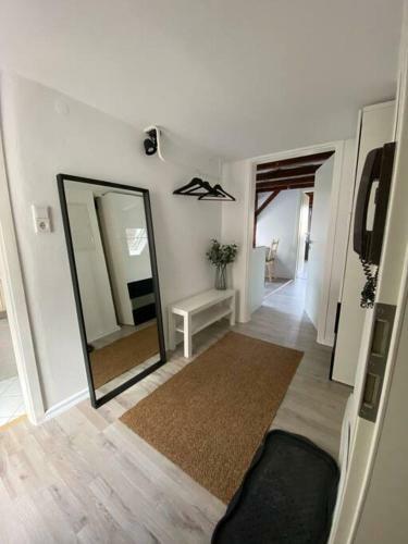 Apartamento Mainblick Voll Ausgestattet, K�che, Klima, Wanne