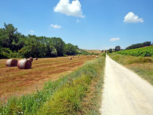 Holiday Home Il Vallone Certaldo