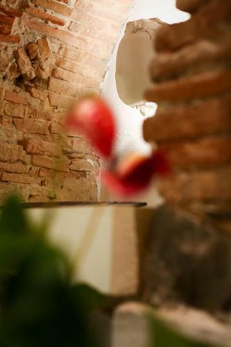 Acchiappasogni Luxury B&B