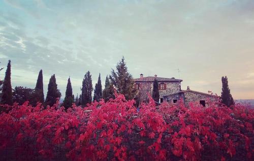 Casa Al Maestro B&B