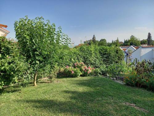 Apartamento Ferienwohnung Riposo