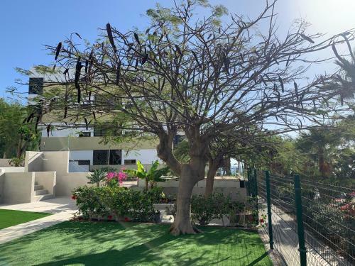 San Agust�n Beach Apartment