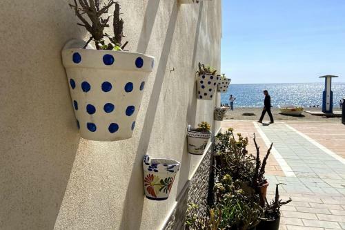 Apartamento Primera L�nea 3 Habitaciones Manilva