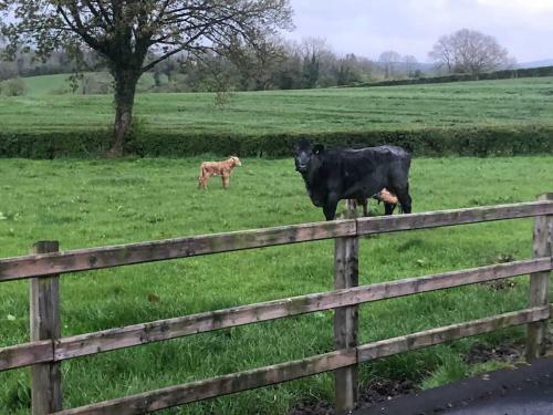 Spacious Farmhouse With Lovely Views, Omagh & Ferm
