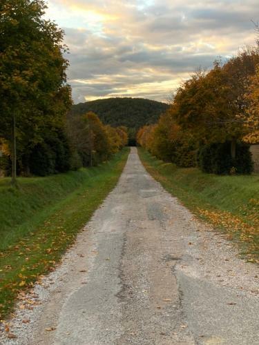 Gite De La Gasignole