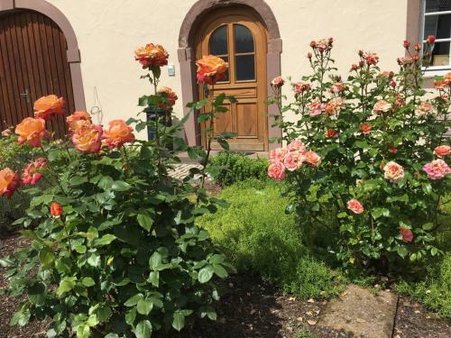 Apartamento Ferienwohnung In Historischem Bauernhaus In Der Eifel