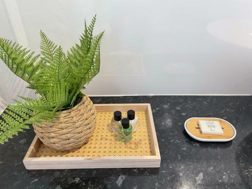 Apartamento The Beachcomber