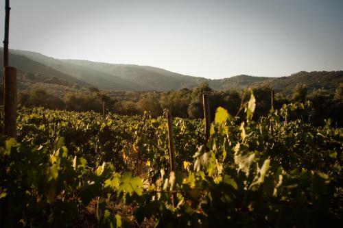 Agroturismo Fattoria Le Poggiola