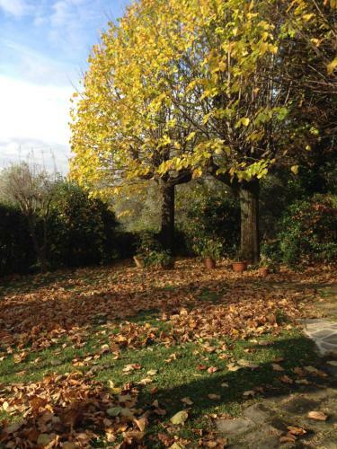 Agroturismo Fattoria Le Poggiola