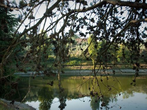 Agroturismo Fattoria Le Poggiola