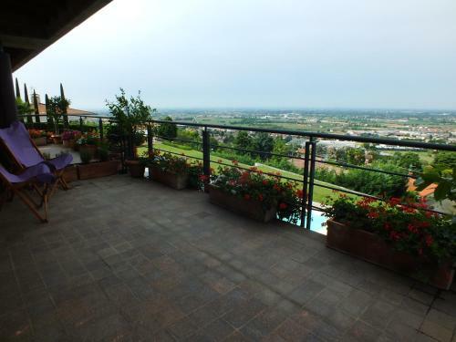 B&B Belvedere