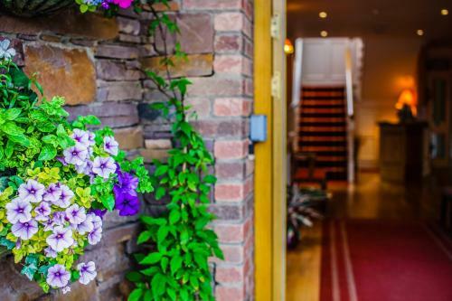 Hostal Inch Beach House B&B
